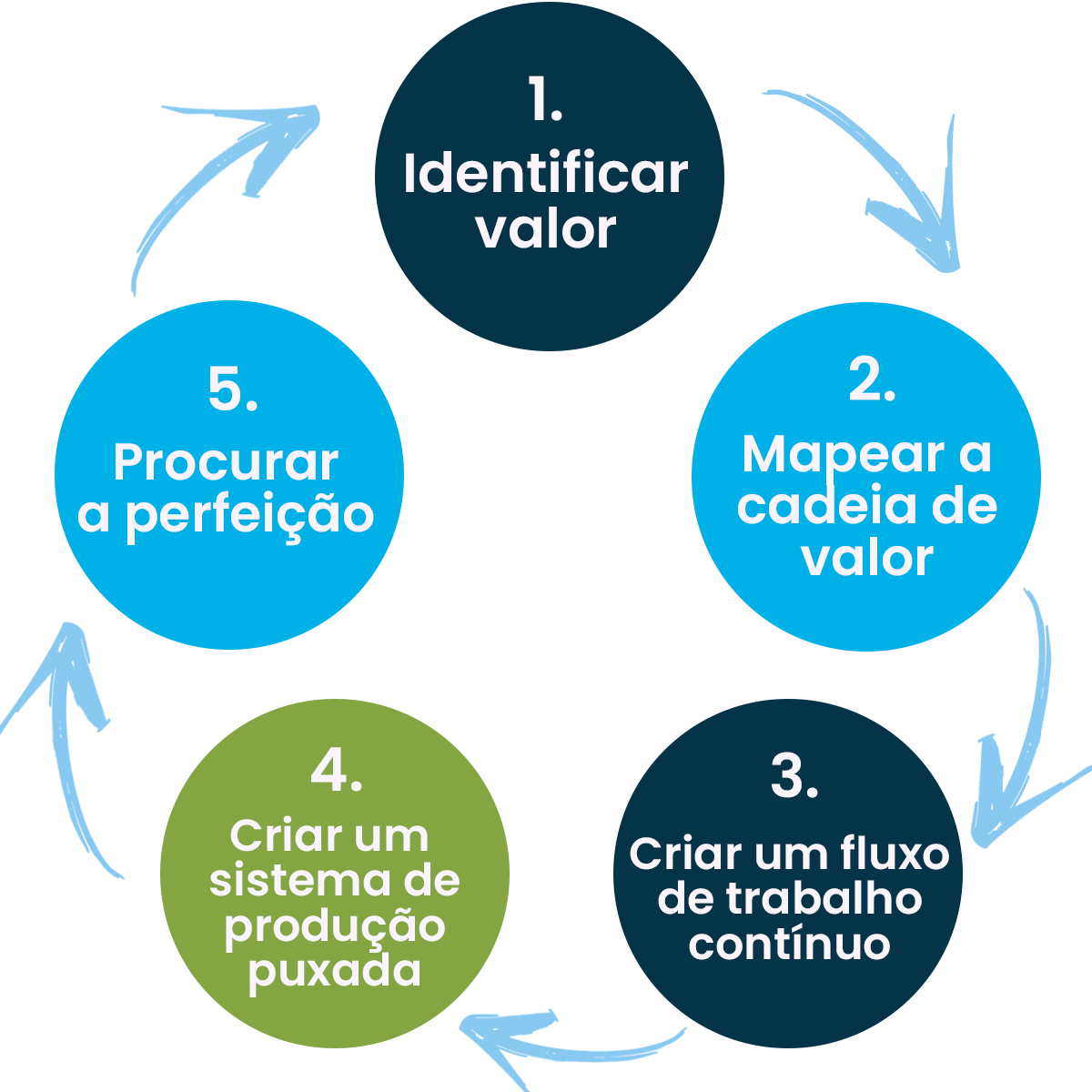 5 principios